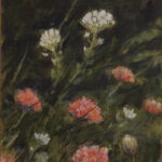 Löffelkraut und Grasnelken